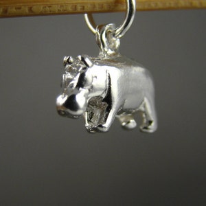 May include: A silver charm in the shape of a hippopotamus. The charm is detailed and has a smooth, shiny finish.