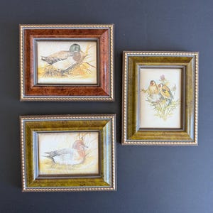 Op de afbeelding: Drie ingelijste vintage kunstprints met wilde dieren. Eén print toont een eend in een nest, een andere toont twee vogels die op een plant zitten en de derde toont een eend. De frames zijn bruin en groen met gouden kralen.