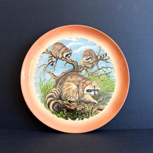 May include: A round decorative plate with a peach-coloured rim. The plate features a detailed illustration of three raccoons on a tree branch, set against a blue sky and green grass background.