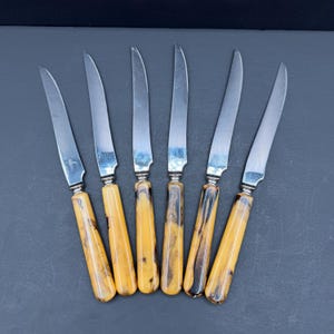 Vintage Glo Hill Steakknivset, Marmorerade Sköldpaddsbakelithandtag, MCM Bestick