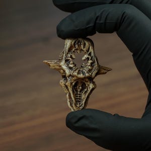 May include: A small, beige, bone-like pendant with a textured, weathered surface. The object features an intricate, organic design with a central circular opening and symmetrical lateral protrusions, resembling a fossilized vertebrae segment.