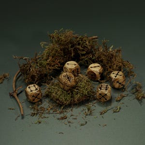 Puede incluir: Seis dados de madera hechos a mano con marcas marrones oscuras y diseños únicos, colocados sobre musgo verde. También hay una ramita y musgo adicional, sobre un fondo verde oscuro. Los dados son para un juego de mesa.