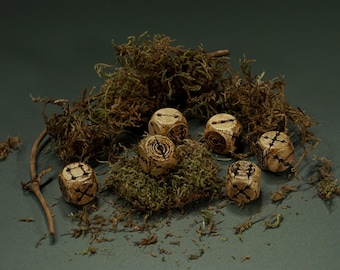 Necrohedral Bone Dice (D6) – Woodland Rot, RPG Gaming Accessories