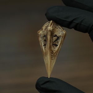 Può includere: Un dado da gioco a punta a forma di scudo con una superficie ruvida color osso e dettagli scuri e usurati. Il dado presenta i numeri 3 e 2 incisi in nero sulla faccia anteriore, con una prominente cresta centrale che corre verticalmente.