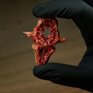 May include: A small, sculpted object with a textured, organic appearance, featuring a deep red and off-white color palette. The piece has a central opening and irregular, jagged edges, resembling a biological specimen with a glossy finish.