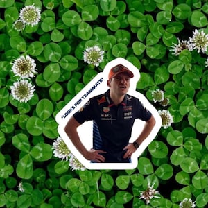 What is a Teammate sticker | Max Verstappen 2 Pack