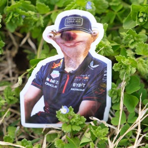 Max Verstappen Sticker | Max Verslothen | 2 Pack