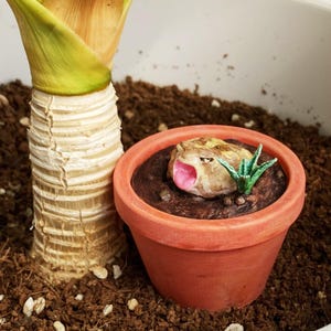 May include: A small terracotta pot filled with soil, featuring a miniature sculpture of a frog with a pink mouth. A small green plant sprouts from the soil. The pot sits in a bed of soil, next to a plant stem.