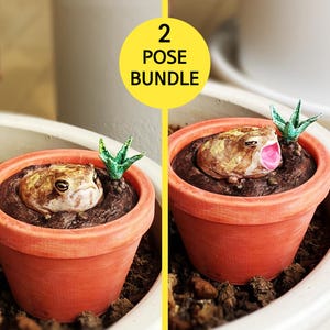 May include: Two terracotta-colored pots each contain a detailed frog sculpture in soil, with a small green plant. One frog has its mouth open, revealing a pink interior. The image includes a yellow circle with the text "2 POSE BUNDLE".