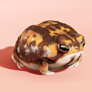 May include: A close-up of a brown and yellow frog with black spots. The frog has a round body and large, dark eyes. It is sitting on a pink background.