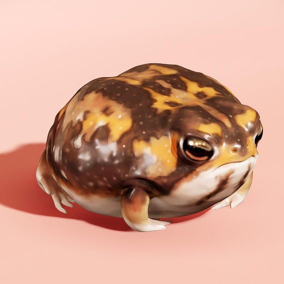 Desert Rain Frog 3D Model: Bushveld Frog Companion [digital