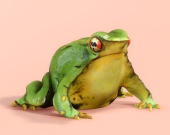 Darwin's Frog [Digital Download]