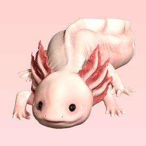 3D Axolotl Model: FDM Printer File [Digital Download]