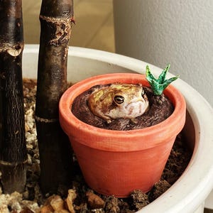 Può includere: Un vaso di fiori color terracotta contiene una scultura dettagliata di una rana in terra marrone scuro, con una piccola pianta verde. La rana ha un motivo a chiazze marrone e beige. Il vaso è in un vaso bianco più grande.