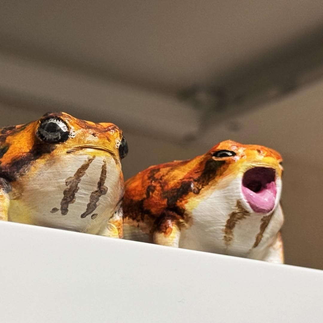 Yawning Desert Rain Frog [digital Download] - Etsy