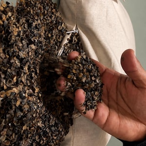 May include: A beige linen pillowcase partially filled with dark brown buckwheat hulls. The pillowcase features a visible zipper closure along the side, and the dark hulls are spilling out from the opening, showing their textured, irregular shape.