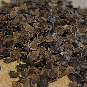 Buckwheat Hulls for Pillows, Cushions & Crafts | Natural Filling | Bulk Available