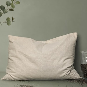 May include: A rectangular pillow with a plain, light beige fabric cover. The pillow is positioned horizontally, featuring a soft, slightly wrinkled texture across its surface. To the right, a clear glass container holds dark, granular contents.