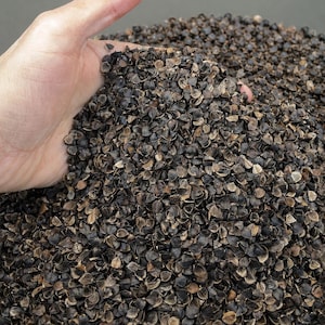 Op de afbeelding: Een close-up van een hand die een hoop boekweitkorrels vasthoudt. De korrels zijn een mix van donkerbruine en bruine kleuren, met een ruwe textuur. De afbeelding is goed belicht en toont de details van de korrels.