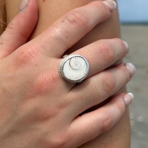 May include: A silver ring featuring a circular shiva eye shell as the centrepiece. The shell is white with a dark brown spiral pattern in the centre, set within a smooth, polished silver bezel that encircles the entire perimeter of the stone.