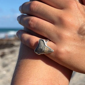 Pode incluir: Um anel de prata com um design de dente de tubarão. O dente de tubarão é cinza e bege, embutido em uma banda de prata polida. O anel é mostrado em uma mão, com uma praia e o mar ao fundo.