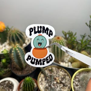 Pegatina de rubí regordete y musculoso / Pegatina de vinilo impermeable / Calcomanía para botella de agua y portátil / Pegatina de planta adorable / Pegatina motivacional / Gimnasio