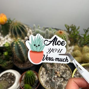 Adesivo Aloe You Vera Much | Adesivo de vinil à prova d'água | Decalque para garrafa de água e laptop | Adesivo de planta fofa | Adesivo Eu te amo | Trocadilhos com plantas