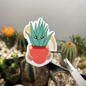Hase hält Ally Aloe Sticker | Wasserfester Vinyl-Aufkleber | Wasserflasche und Laptop Aufkleber | Niedliche Pflanzenaufkleber | Ostern Aufkleber