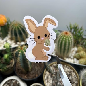 Sticker lapin de Pâques avec oeuf succulent | Sticker vinyle imperméable | Sticker pour bouteille d'eau et ordinateur portable | Sticker plante mignon | Cadeau | Pâques