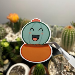 Ruby Rebutia waterdichte vinylsticker | Waterdichte vinylsticker | Sticker waterfles en laptop | Leuke plantensticker | Sticker plantenliefhebber