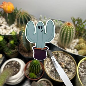 Pegatina de Cactus Jack / Pegatina de vinilo impermeable / Calcomanía para botella de agua y portátil / Pegatina de planta linda