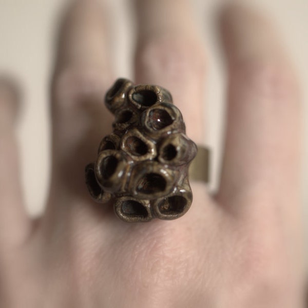 Lichen Ring - Deep brown and Autumn colors.  Funky and fashionable.