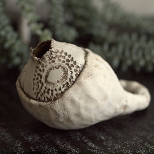 Organic porcelain life form.  Ceramic sculpture based on pod form, sea life.  Unique home decor or gift.