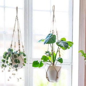 Hanging rope plant basket