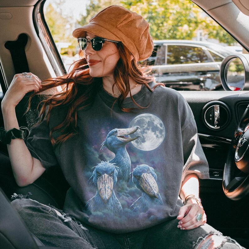 Vintage style three shoebill storks moon graphic printed on dark washed t-shirt, scary dinosaur bird galaxy design.