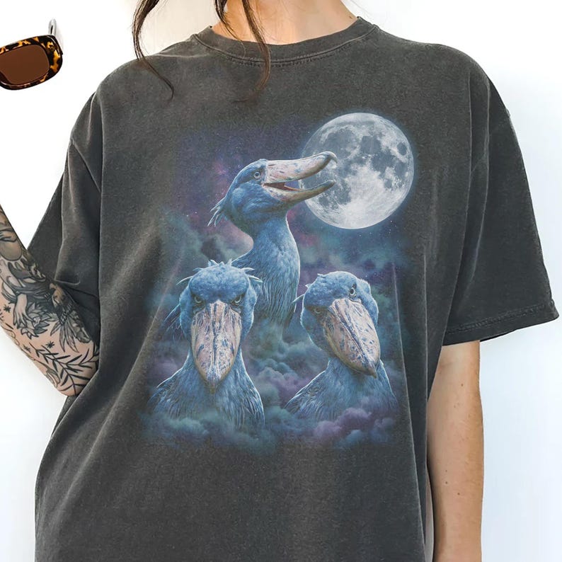 Vintage style three shoebill storks moon graphic printed on dark washed t-shirt, scary dinosaur bird galaxy design.