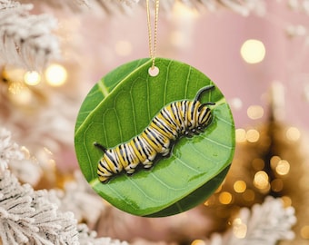Monarch Caterpillar Ornament Nature Insect Botanical Art
