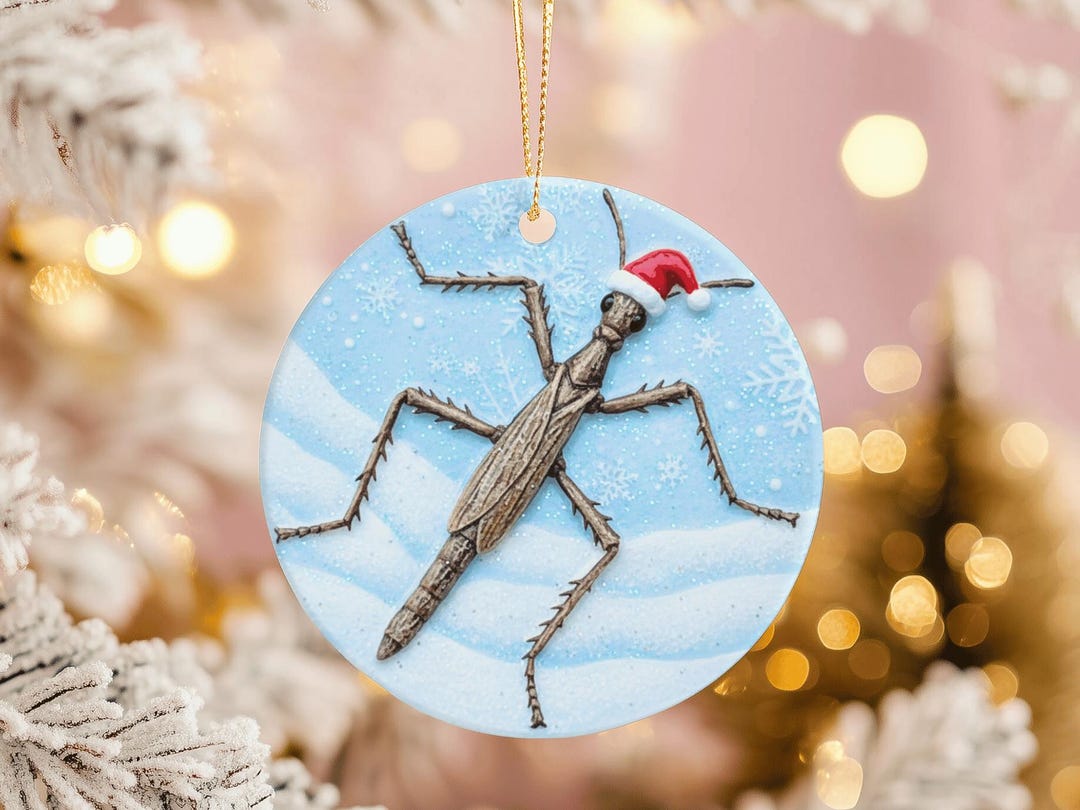 Stick Insect Present This item is unavailable - Etsy