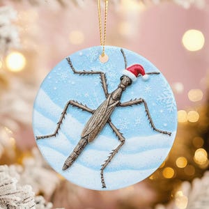 May include: A round Christmas ornament featuring a stick insect wearing a Santa hat. The insect is brown and detailed, set against a light blue snowy background with snowflakes. A gold string is attached for hanging.
