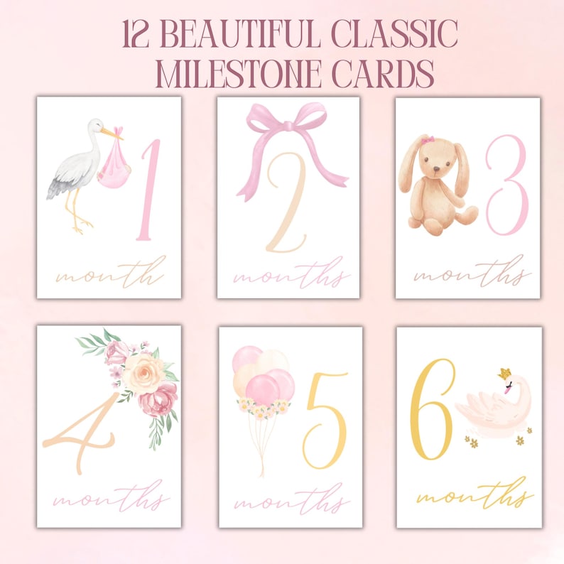 Baby Girl Milestone Cards / Monthly Photo Props / Baby Shower Gift ...