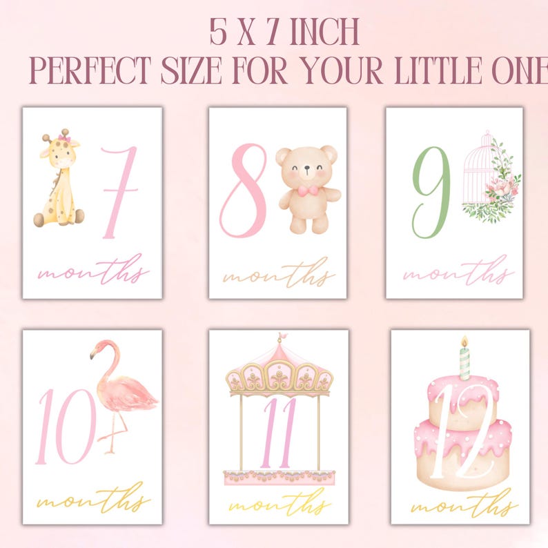 Baby Girl Milestone Cards / Monthly Photo Props / Baby Shower Gift ...