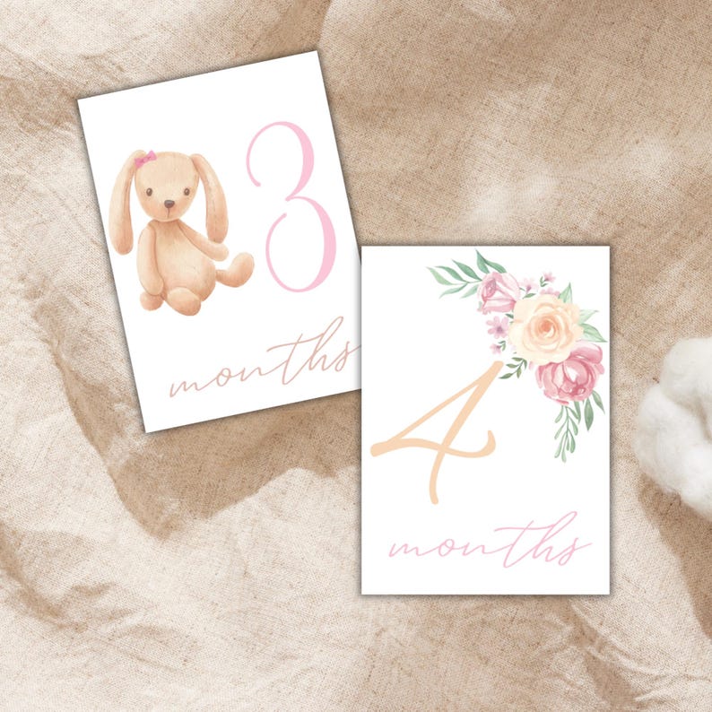 Baby Girl Milestone Cards / Monthly Photo Props / Baby Shower Gift ...