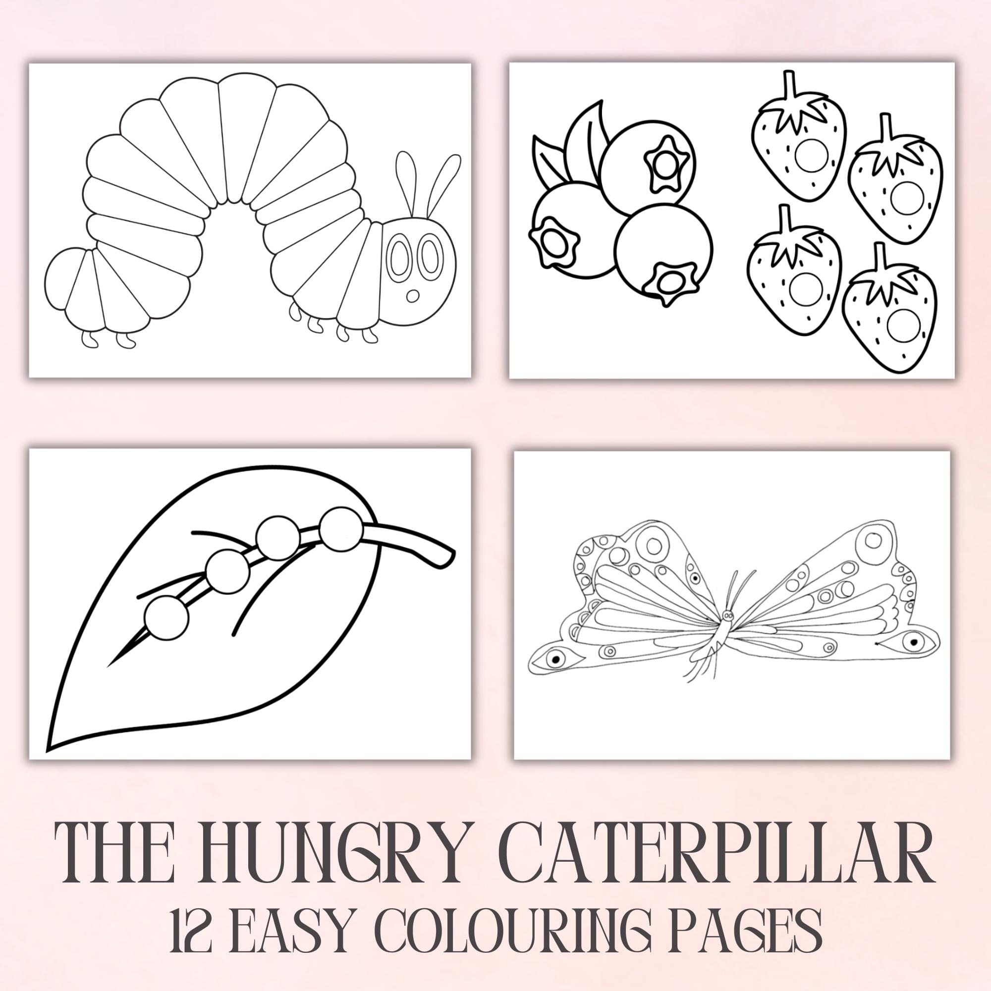 The Very Hungry Caterpillar Colouring Pages / Home Art Craft / Kids Toddler Baby / Colouring Pack Sheets Birthday Party / School Activity