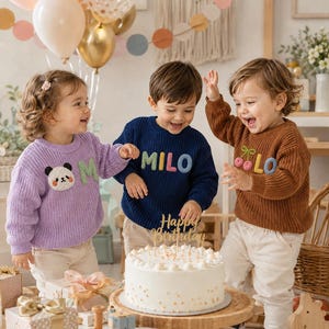 Pull brodé avec le prénom de bébé, pull personnalisé fait main, vêtements avec inscription, vêtements pour tout-petit, cadeau de naissance, cadeau souvenir de famille