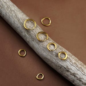 May include: A collection of seven small, polished gold hoop earrings. Four of the circular hoops are arranged in a line along a piece of weathered, light-colored driftwood, while three additional hoops are positioned separately nearby.