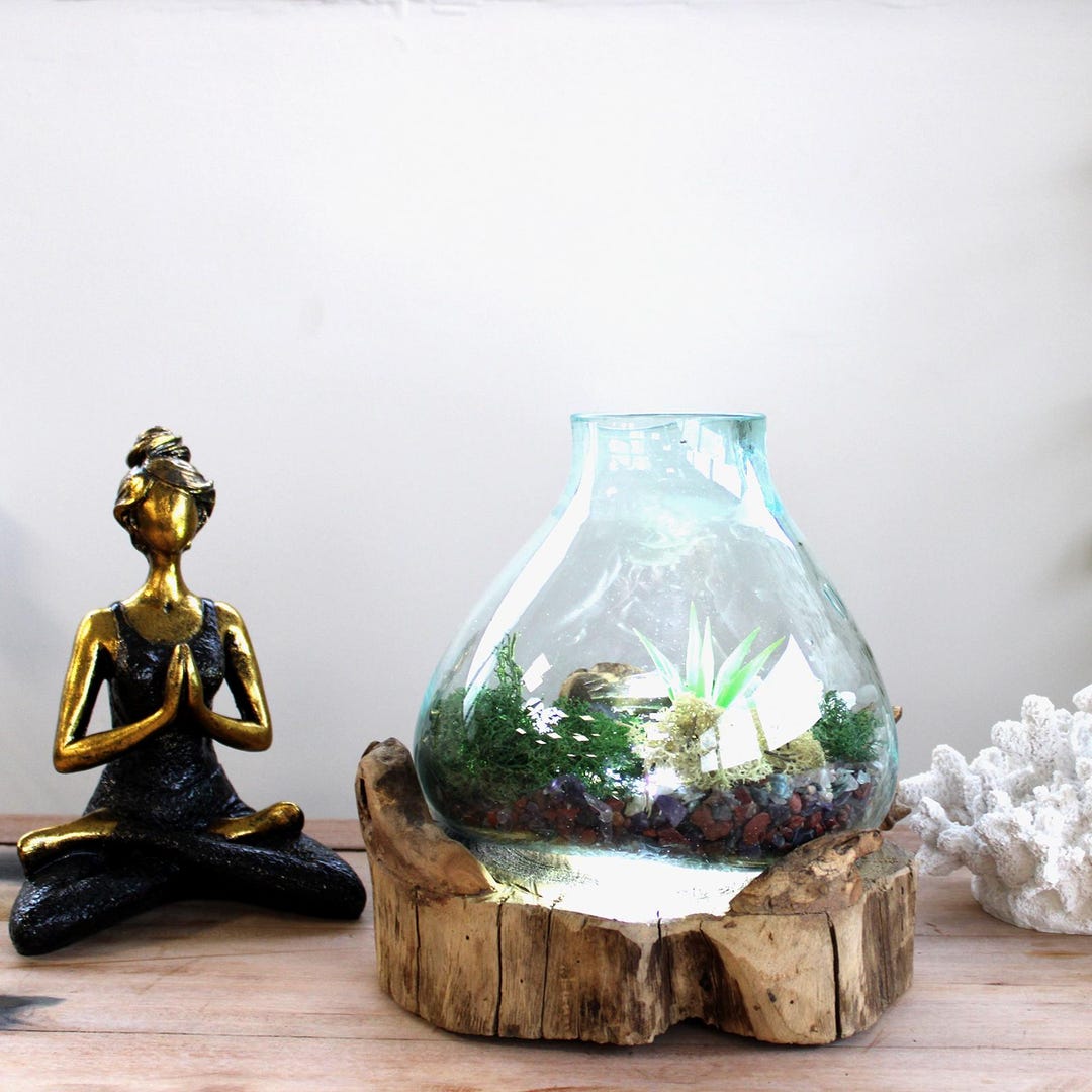 Curated visual reference: Handmade Recycled Glass Terrarium Balinese Wood Base Led Light Photo Inspiration
