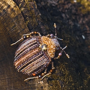 Animal Nature jewelry Bug jewelry Bug pin 21st birthday gift Embroidery beaded brooch Stag Beetle brooch pin Art glass brooch Insect art