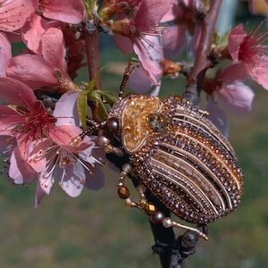 Striped Beetle Brooch, Handmade Insect Pin, Nature Inspired Jewelry, Gift for Her, Bug Brooch, Handmade Beetle Brooch, Unique Accessory
