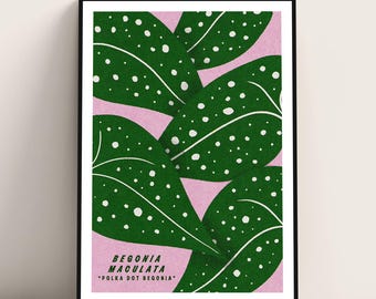 Polka Dot Begonia art print poster