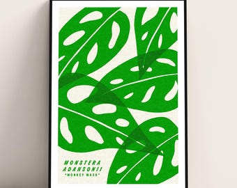 Monstera Cheese Plant art print